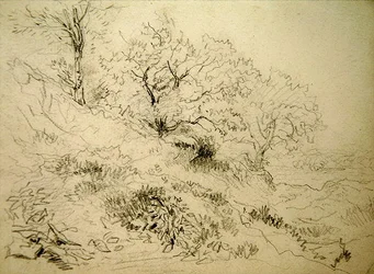 Welsh Landschap