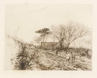De wilde ganzen
