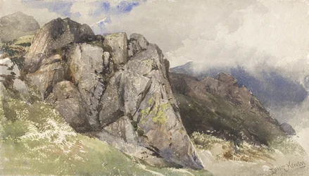 Bergrotsen