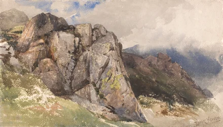 Bergrotsen