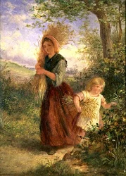 Tarwe Verzamelen