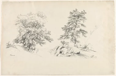 Kastanje en Pijnboom, 1869