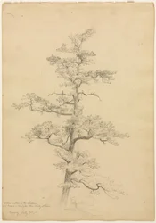 Pijnboom, Conway, New Hampshire recto, Landschap en Boomstudies verso, c. 1851