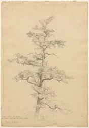 Pijnboom, Conway, New Hampshire recto, c. 1851