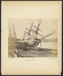 De "Jane Tudor"