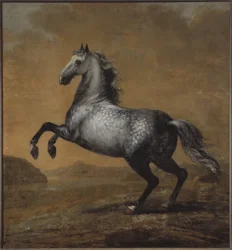 Het strijdpaard van Karel XI, De Kleine Engelsman