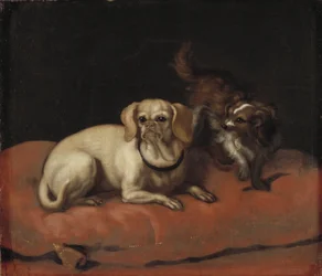 Twee honden