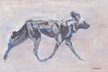 Afrikaanse wilde hond, 2024