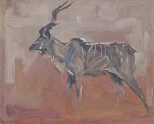 Kudu stier, 2018