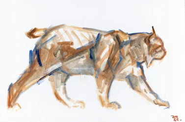 Lynx, 2022