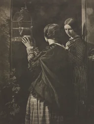 Camera Werk: De Vogelkooi, 1909