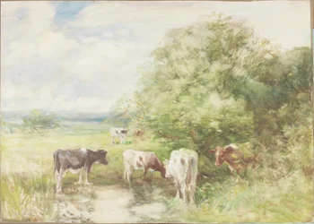 De Schaduwrijke Vijver