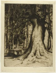 De Plataan