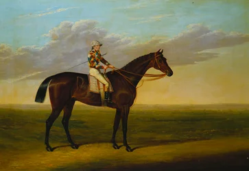 Het renpaard „Rockingham” van Mr Richard Watts Bay met Sam Darling in het zadel, op een renbaan