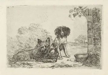 Twee honden