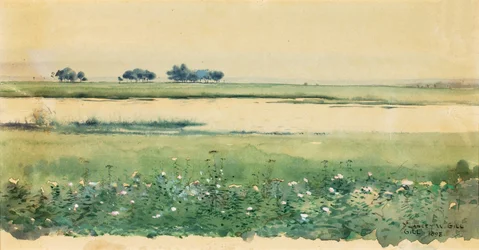 Landschap met Moerassen, 1898