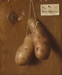 De Ierse Vraag