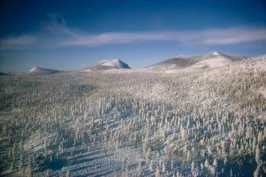 Siberië in winterlandschap over moeras en bossen bedekt met sneeuw