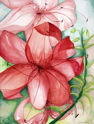 Tijgerlelie, 2007 (aquarel)