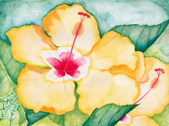 Gele hibiscus, 2006 (aquarel)