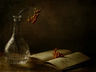 Herfstbessen en een boek