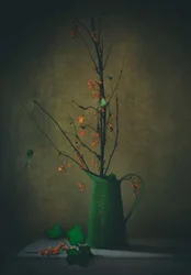 Donker botanisch stilleven