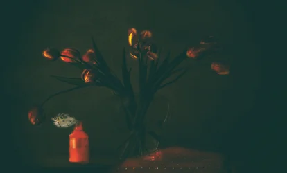 Donkere, stemmige tulpen