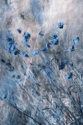 Vervaagde blauwe bloemen