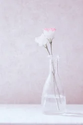 Bloemen in liefde
