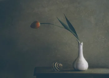 Stilleven met een sombere tulp