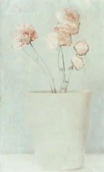 Zachte, vervaagde bloemen