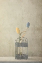 Vintage tulpen in een kooi