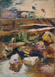 Oever van de beek met kippen