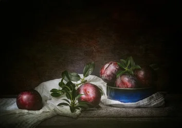 Stilleven met sombere pruimen