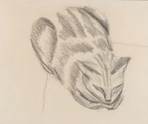 Slapende Kat