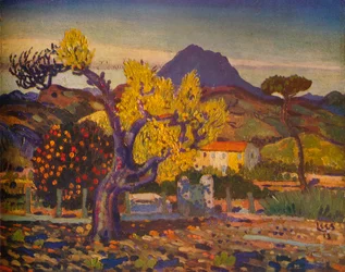 Perenboom in bloei, 1913-1932