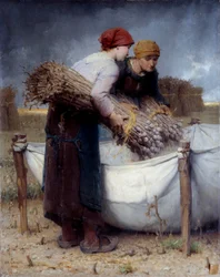 Papaverplukkers