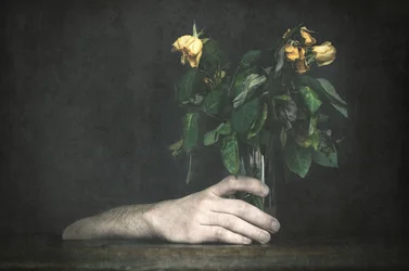 Hand en verwelkende rozen