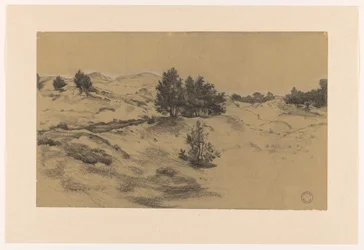 Duinlandschap