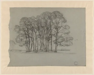 Groep bomen op een lage heuvel