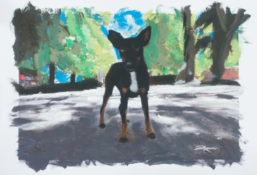 Perro en Chile, 2019 (acrylverf op geprinte foto)