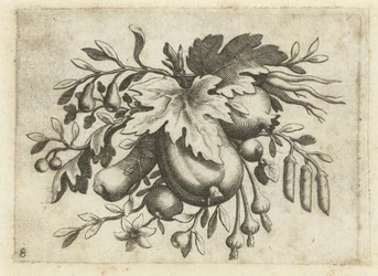 Festoen van vruchten