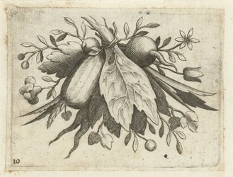 Festoen van vruchten