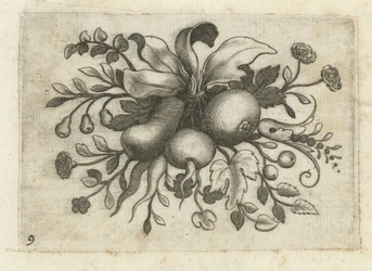 Festoen van vruchten