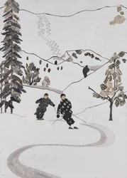 Ski-weiden (collage)