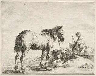 Een Paard Vastgebonden aan een Paal