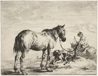 Paard gebonden aan een paal