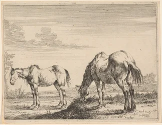 Twee Grazende Paarden