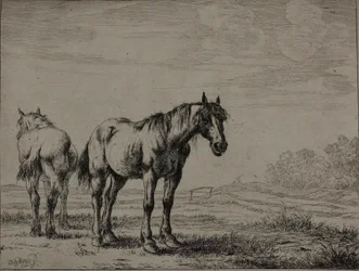 Twee Ploegpaarden, plaat zeven uit Serie van Paarden
