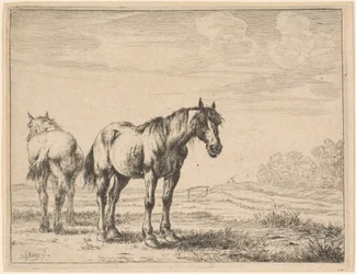 Twee Ploegpaarden in een Veld